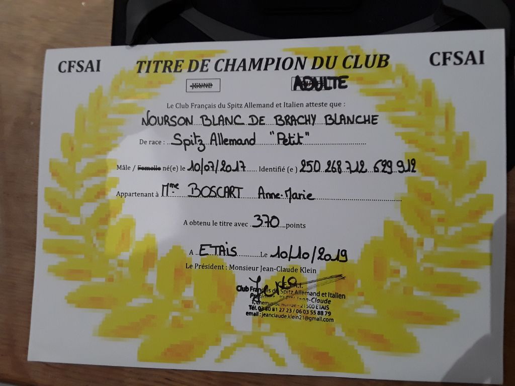 Des Ch'tis Spitz - Titre Champion du club CFSAI adulte 2019