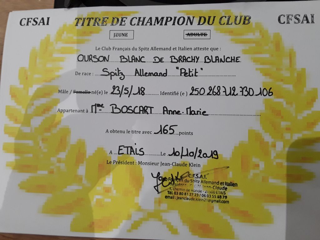 Des Ch'tis Spitz - Titre Champion du club CFSAI jeune 2019