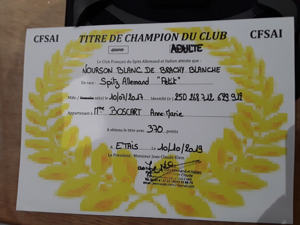 Titre Champion du club CFSAI adulte 2019